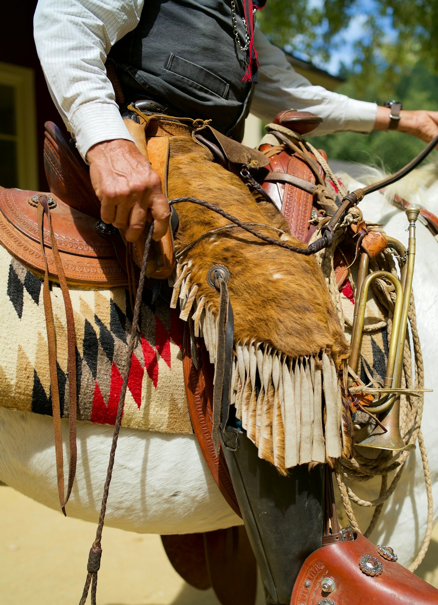 The Evolution Of Professional Reining Events